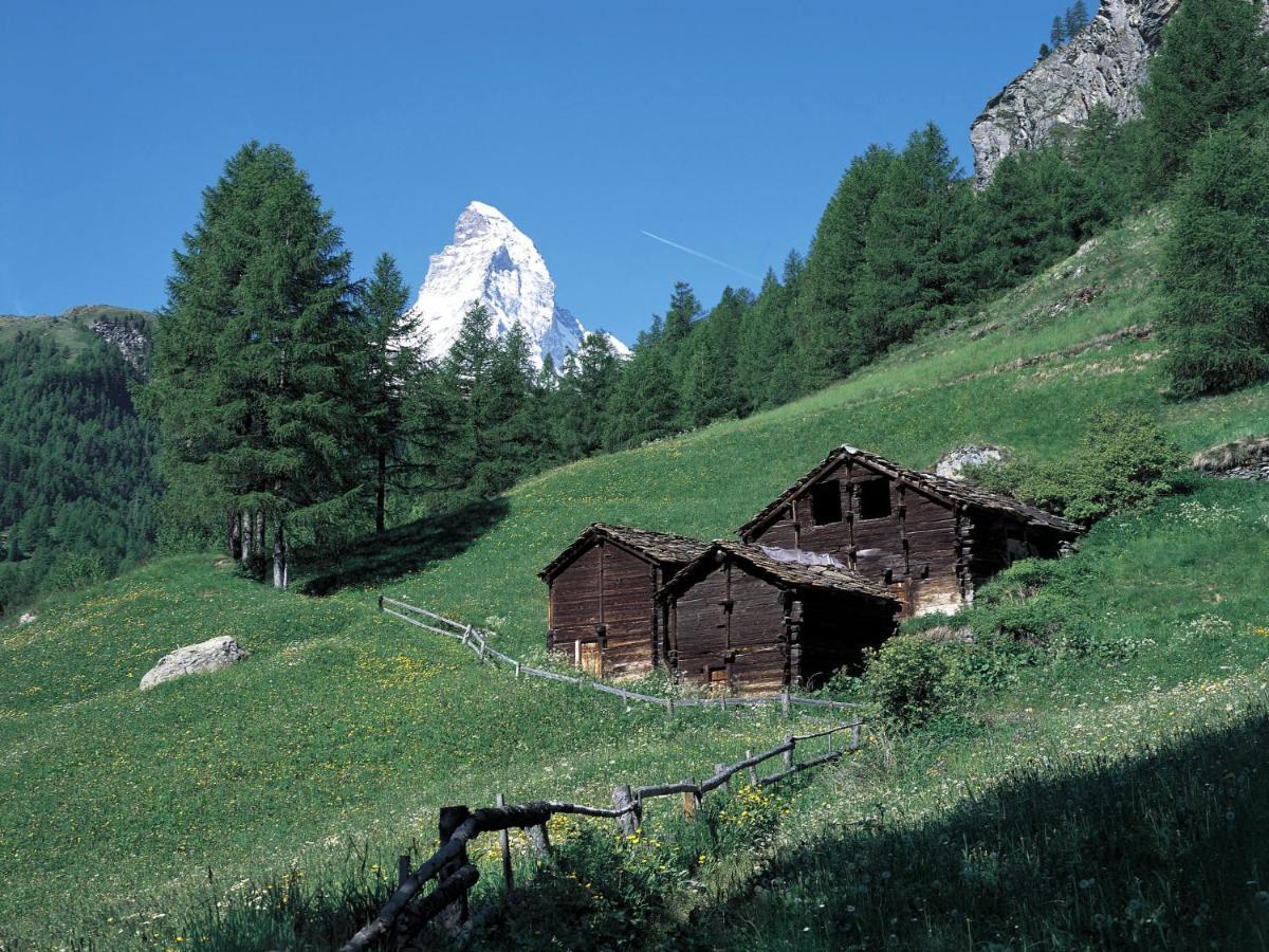 Apartment Chalet Dossen Zermatt Extérieur photo